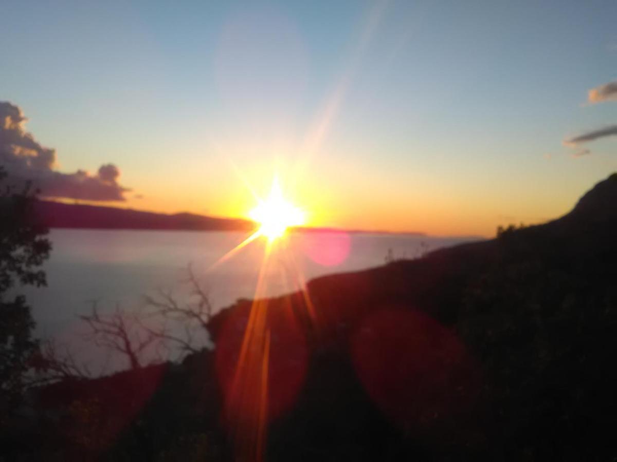 Zorana Lägenhet Mimice Exteriör bild